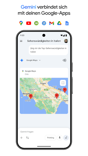 Google Gemini Screenshot