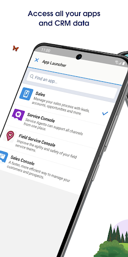 Captura de pantalla de Salesforce