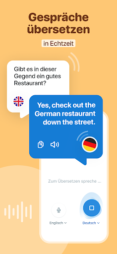 Reverso Übersetzer Wörterbuch Screenshot
