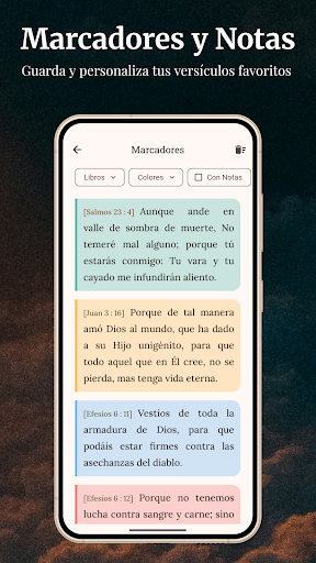 Captura de pantalla de Biblia KJV - Reina Valera