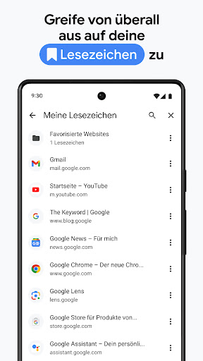 Google Chrome Screenshot