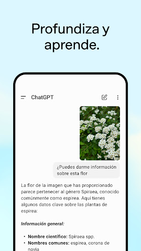 Captura de pantalla de ChatGPT