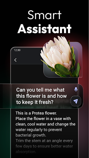 ChatOn - AI Chat Bot Assistant screenshot