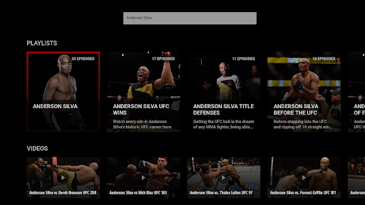 UFC screenshot