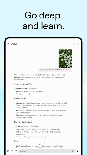 ChatGPT screenshot