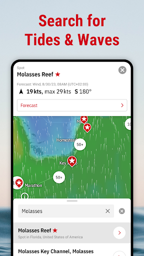 Windfinder Pro: Wind & Weather screenshot