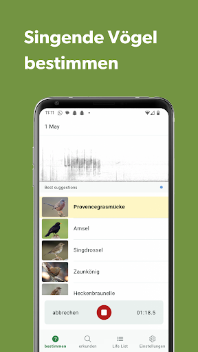 Merlin Bird ID von Cornell Lab Screenshot
