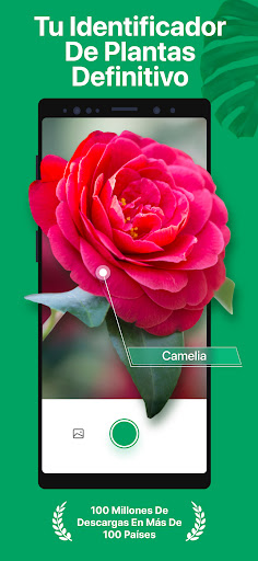 Captura de pantalla de PictureThis Identificar Planta