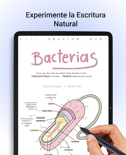 Captura de pantalla de Noteshelf - Notas, Anotaciones