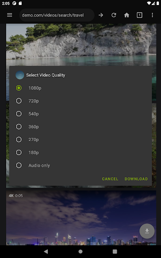 Video Downloader Pro screenshot