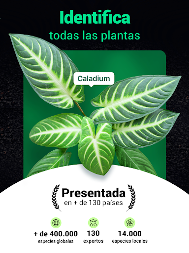 Captura de pantalla de Plantum - Identificar plantas