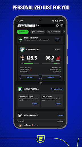 ESPN Fantasy Sports Screenshot