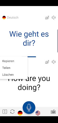 Sofortige Sprachübersetzung Screenshot