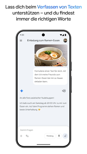 Google Gemini Screenshot