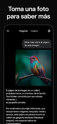 Captura de pantalla de Grok - Asistente de IA