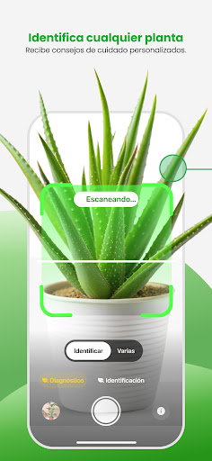 Captura de pantalla de PlantApp: Identifica plantas