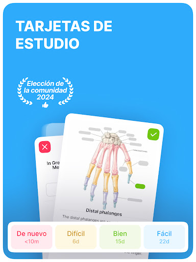 Captura de pantalla de Noji: Flashcads de estudio