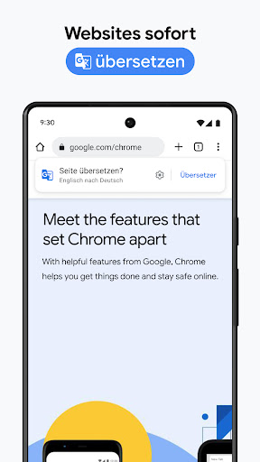 Google Chrome Screenshot