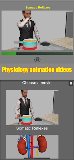 Captura de pantalla de 3D Anatomy