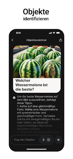 Chatbot-App: KI-Assistent Screenshot