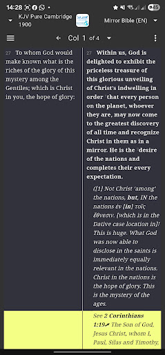 Mirror Study Bible screenshot
