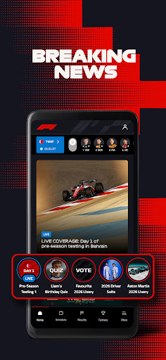 Formula 1® screenshot