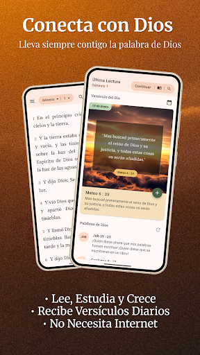 Captura de pantalla de Biblia KJV - Reina Valera
