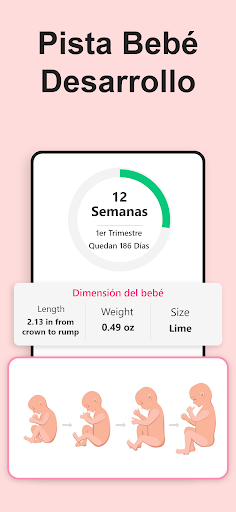 Captura de pantalla de Calendario de embarazo Semanal