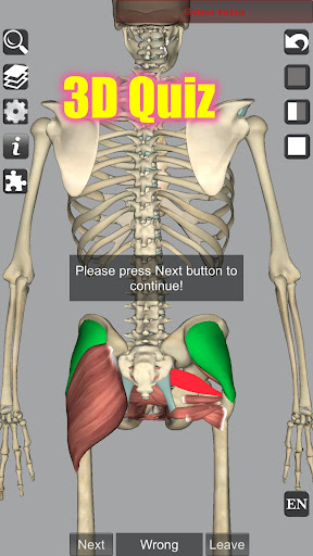 Captura de pantalla de 3D Anatomy