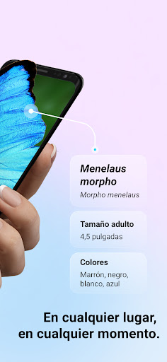 Captura de pantalla de Picture Insect - Insectos ID