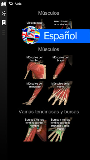 Captura de pantalla de Anatomy Learning - Anatomía 3D