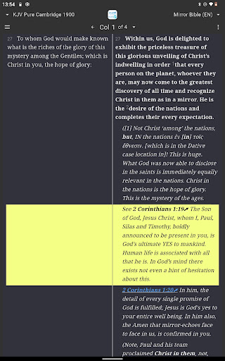 Mirror Study Bible screenshot