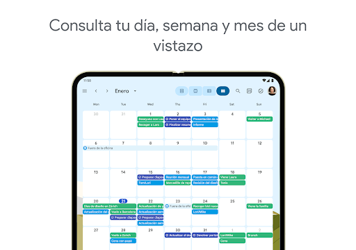 Captura de pantalla de Google Calendar