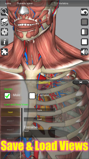 Captura de pantalla de 3D Anatomy