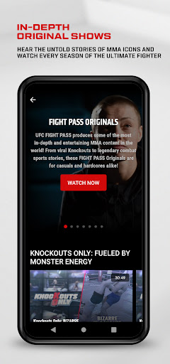 UFC screenshot