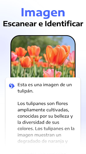 Captura de pantalla de Chatbot Assistant - AI Seek