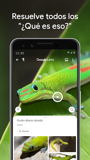 Captura de pantalla de Google Lens