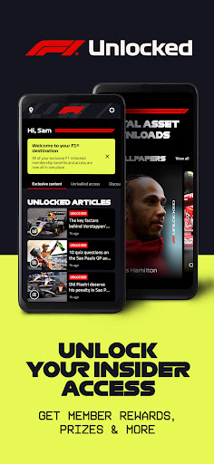 Formula 1® screenshot