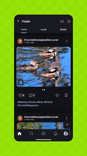Pixelix - A Pixelfed Client screenshot
