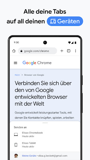 Google Chrome Screenshot