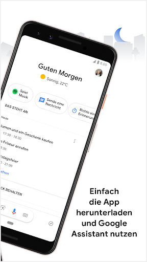 Google Assistant Screenshot