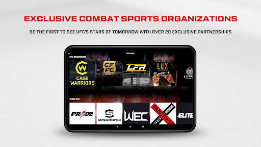 UFC screenshot