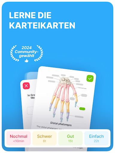 Noji: Vokabel Karteikarten Screenshot