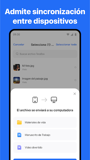 Captura de pantalla de TeraBox: Respalda la nube