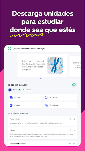 Captura de pantalla de Quizlet: fichas creadas con IA