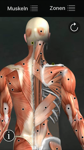 Muskel Triggerpunkte Anatomie Screenshot