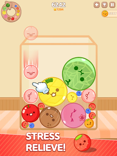 Captura de pantalla de Melon Maker : Fruit Game