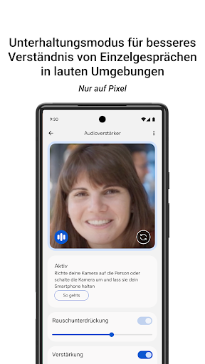 Audioverstärker Screenshot