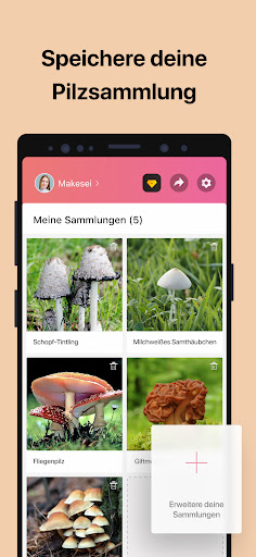 Picture Mushroom - Pilzführer Screenshot