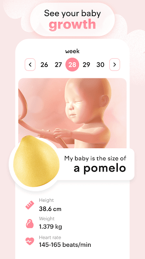 amma: Schwangerschafts-App Screenshot